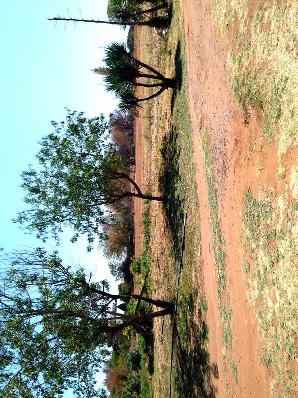 3 Bedroom Property for Sale in De Wildt North West